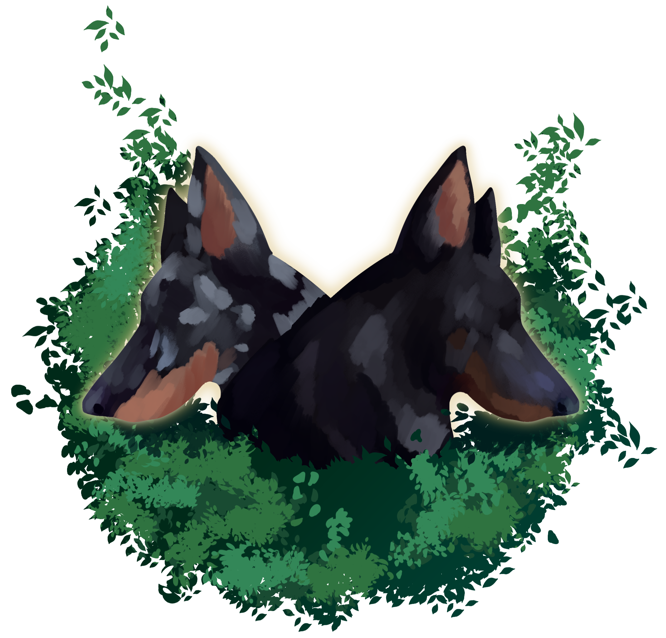 Canine Co-op